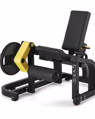 palestra professionale leg press, curl ext