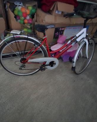 bicicletta 