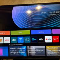 LG 75 pollici Full HD anno 2004