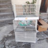 GABBIE PER CANARINI CON ACCESSORI
