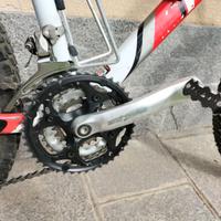 MTB FRW Hornet in alluminio