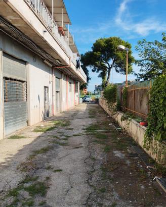 Locale Commerciale (Cat C/1) zona Colle del Sole