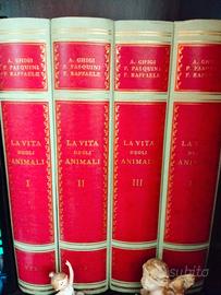 La Vita degli animali