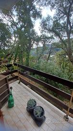 Appartamento a Sassetta