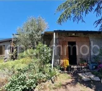 Proprietà con casa,terreno Castiglione di Sicilia