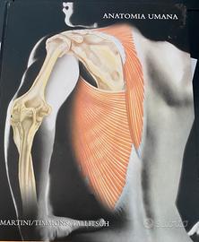 Anatomia Umana libro