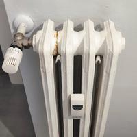 Termosifone in ghisa