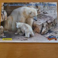 2016 Folder Snowy Zoosafari Fasanolandia ed limita
