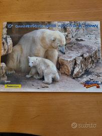 2016 Folder Snowy Zoosafari Fasanolandia ed limita