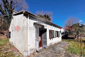 Casa Indipendente Greccio [Cod. rif 3205012VRG]