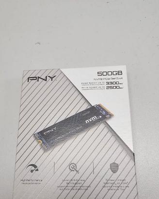hard disk ssd nvme 500gb