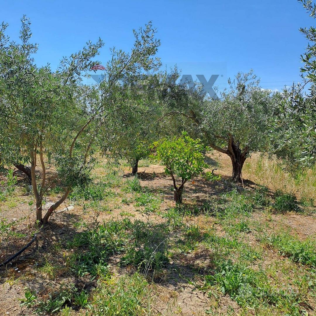 Terreno - Ramacca - View 5