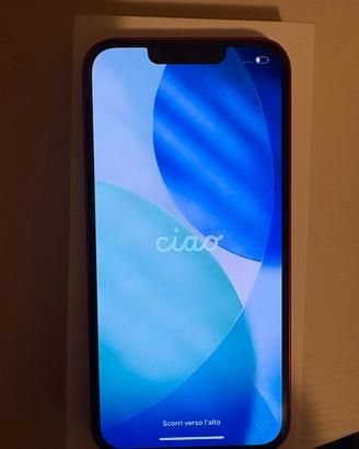 iPhone 13
