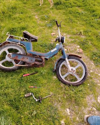 motore 