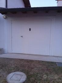 n. 2 portoni basculanti 