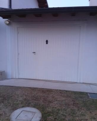 n. 2 portoni basculanti 