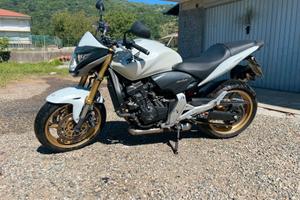 Honda Hornet