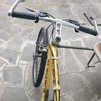 Bicicletta mtb Olympia