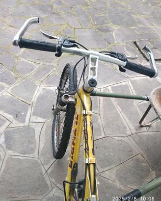 Bicicletta mtb Olympia