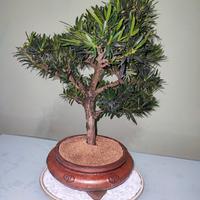 BONSAI
