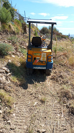 Mini Escavatore yamnar b12