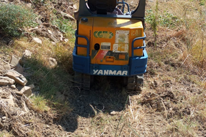 Mini Escavatore yamnar b12