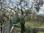 Immagine 5