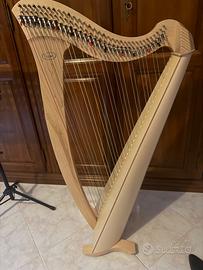 Salvi Harps MIA 34 corde, Acero Biocarbon