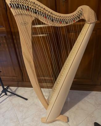 Salvi Harps MIA 34 corde, Acero Biocarbon