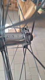 Ruote in carbonio DAMIL