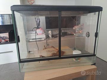 terrario teca rettili