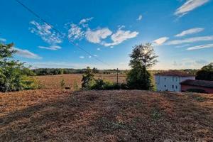 Con giardino privato