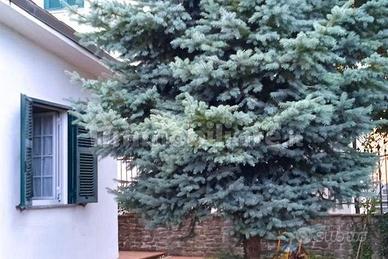 Casa indipendente su tre lati