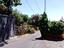 Immagine 11