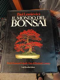 Il mondo del bonsai 