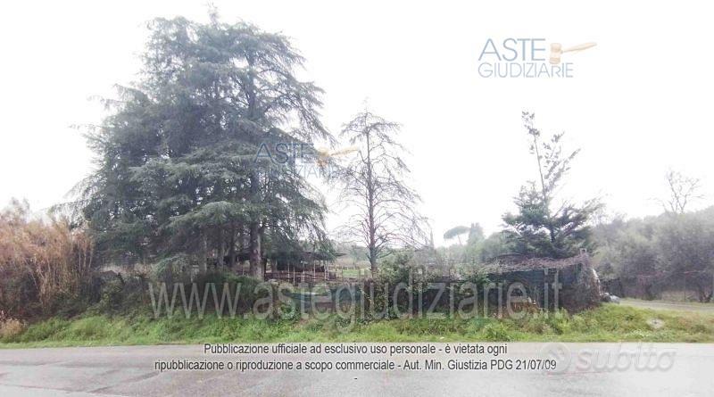 Terreno Agricolo Serravalle Pistoiese [A4355980] - Vista 4