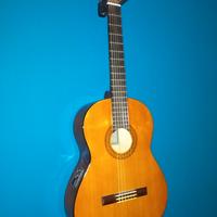 Chitarra Classica Elettrificata