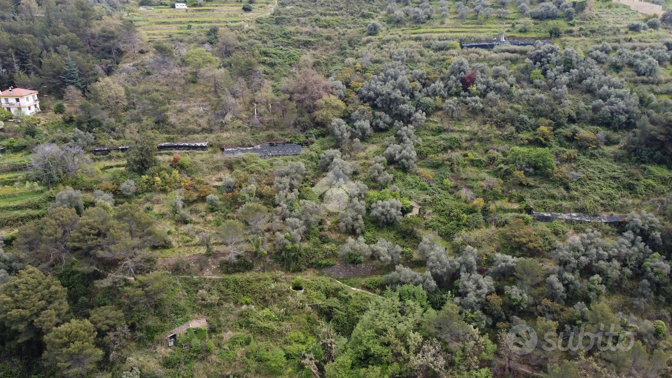 RUSTICO A VALLEBONA - Altro