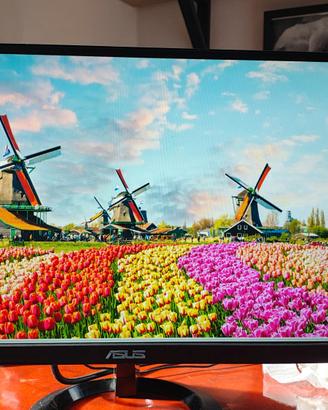 Monitor ASUS 23″ Full HD IPS – HDMI. 2pz