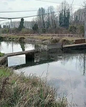 Immobile in asta di 4321 m² a Treviso