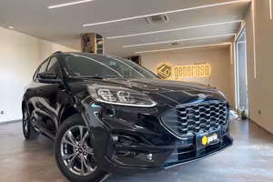 Ford Kuga 2.0 EcoBlue 150CV aut. AWD ST-Line X