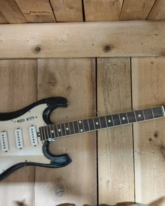 Chitarra EKO vintage 