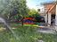 Immagine 14