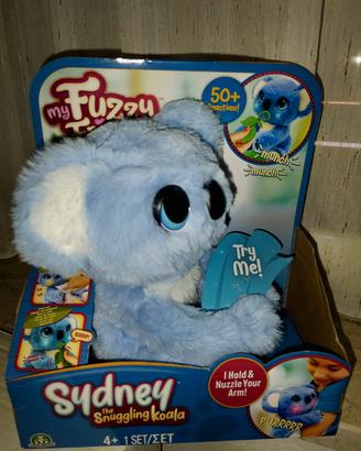 Koala Sidney