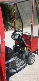 Scooter Elettrico Sport 36V Cappottina pneumatici
