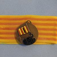 collezione: medaglia I Brigata Coloniale