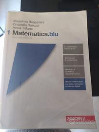 MATEMATICA.BLU VOLUME 1 ZANICHELLI