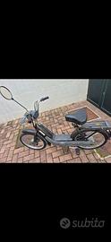 Piaggio si e ciao