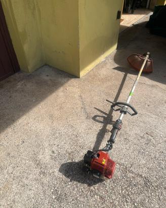 Taglia erba a filo. Motore a scoppio.