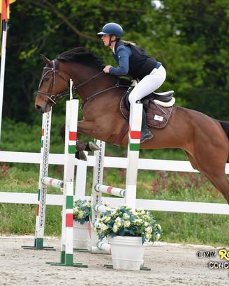 Puledra da Salto Ostacoli